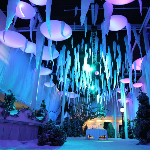 tashan event-img (3)